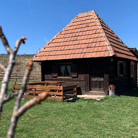 Villa Etno Brvnara Tamara Kremna Exterior foto