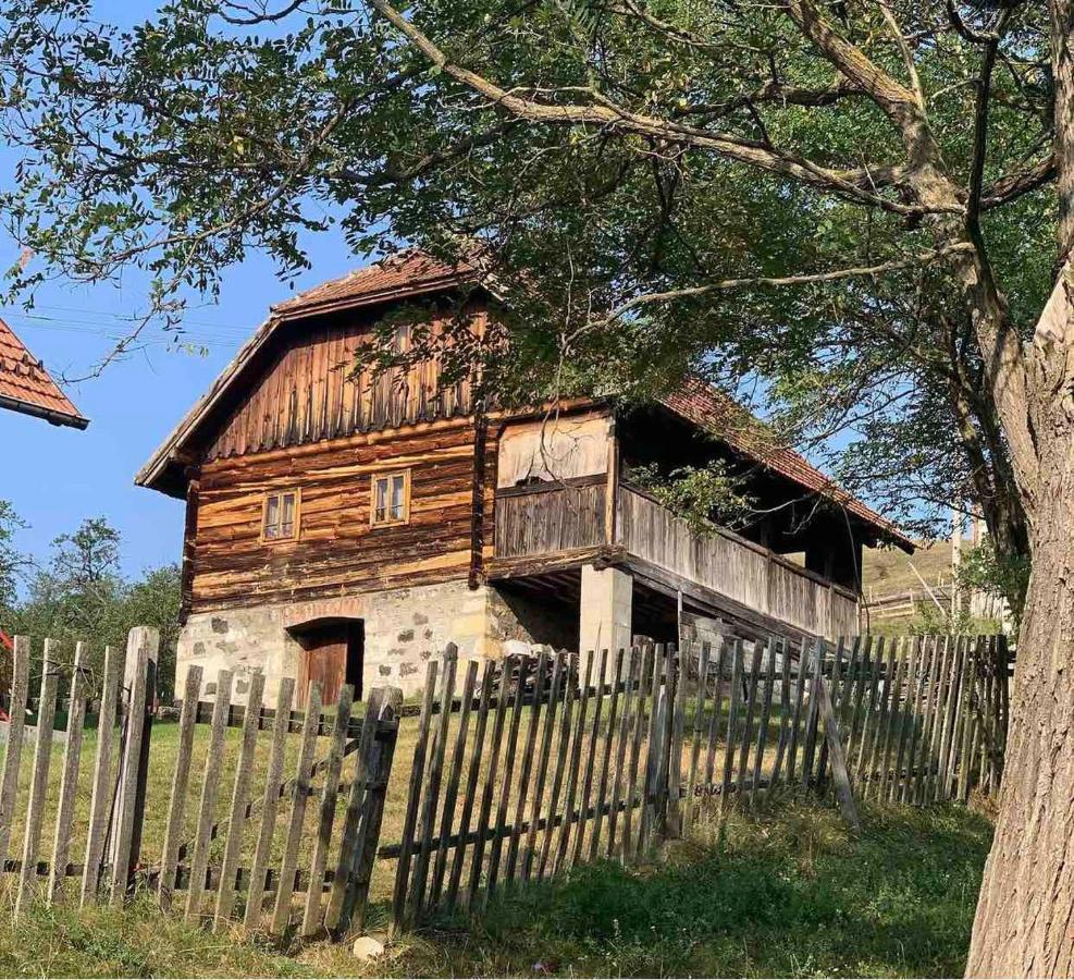 Villa Etno Brvnara Tamara Kremna Exterior foto